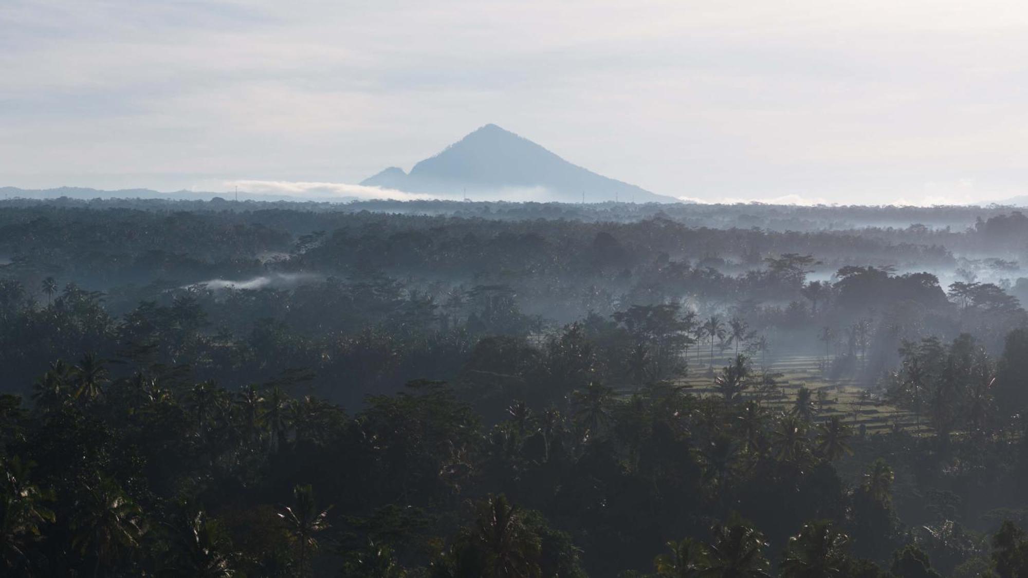 Maddu Suites Ubud Kültér fotó